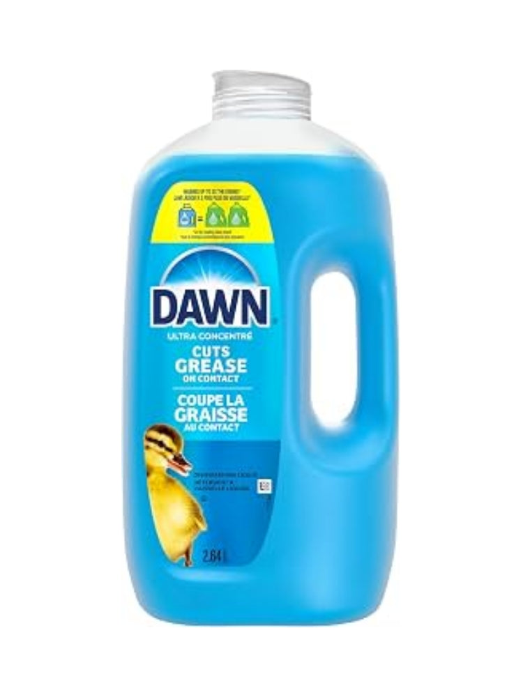 Dawn